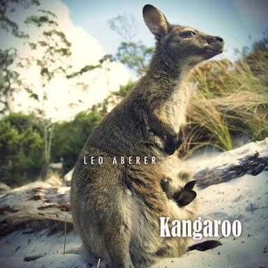 Kangaroo - Deep Edit
