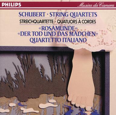 String Quartet No. 13 in A Minor, D.804 - "Rosamunde": 1. Allegro ma non troppo