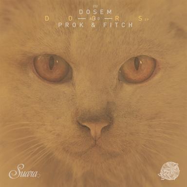 Doors EP