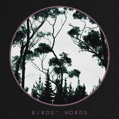 Birds Words