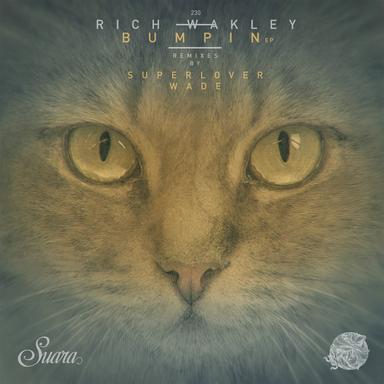 That's the Joint (Superlover Remix)