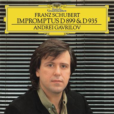 4 Impromptus, Op. 90, D.899: No. 3 in G-Flat: Andante
