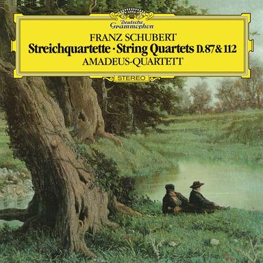 String Quartet No.9, D.173: 3. Menuetto. Allegro vivace