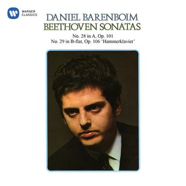 Piano Sonata No. 29 in B-Flat Major, Op. 106 "Hammerklavier": III. Adagio sostenuto. Appassionato e con molto sentimento
