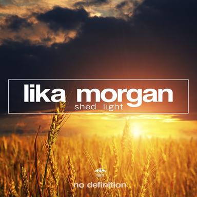Shed Light - Fort Arkansas Remix