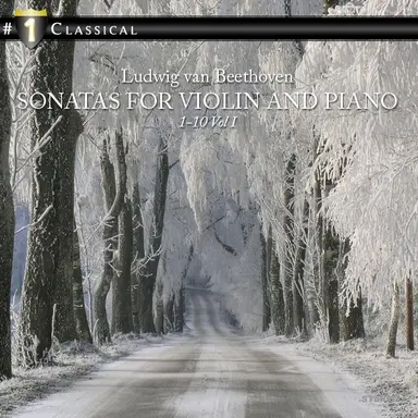 Sonata No. 2 in A Major for Violin and Piano, Op. 12: II. Andante più tosto - Allegretto