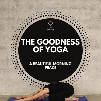 Birds Singing In The Morning Forest