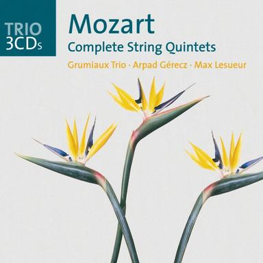 String Quintet No. 3 in G Minor, K. 516: I. Allegro