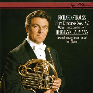 Horn Concerto No. 2 in E flat major, TrV 283: Rondo (Allegro molto)