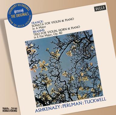 Horn Trio in E-Flat Major, Op. 40: I. Andante – Poco più animato