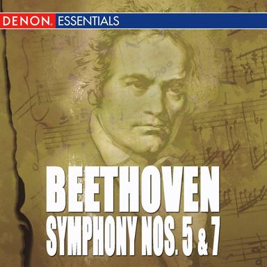 Symphony No. 7 In a Major, Op. 92: II. Allegretto