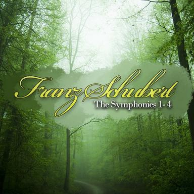 Symphony No. 1 in D Major, D. 82: I. Adagio - Allegro vivace