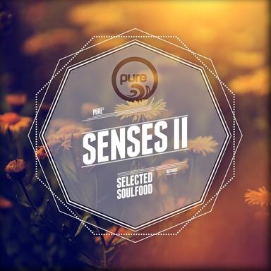 Pure Senses - Selected Soulfood, Vol. 2