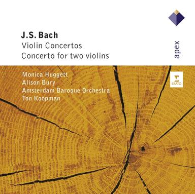 Violin Concerto No. 1 in A Minor, BWV 1041: II. Andante