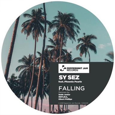 Falling - Sebb Junior Stripped Dub Mix