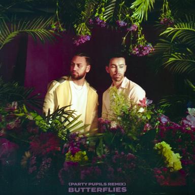 Butterflies - Party Pupils Remix