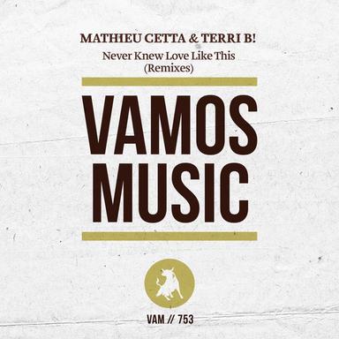 Never Knew Love Like This - Maurizio Basilotta Extended Remix
