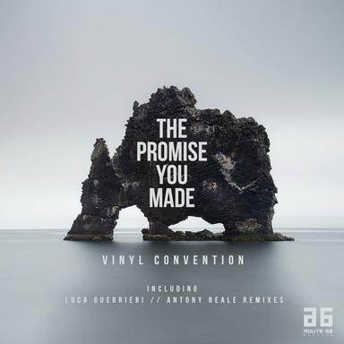The Promise You Made - Luca Guerrieri Remix Edit