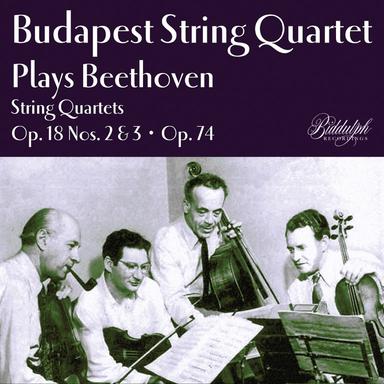 String Quartet No. 10 in E-Flat Major, Op. 74 "Harp": IV. Allegretto con variazioni