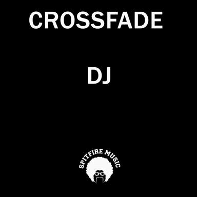 DJ - Radio Edit