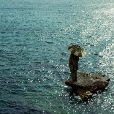 The Boy and the Whale