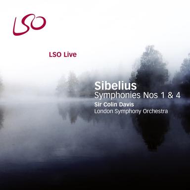 Symphony No. 1 in E Minor, Op. 39: I. Andante, ma non troppo - Allegro energico