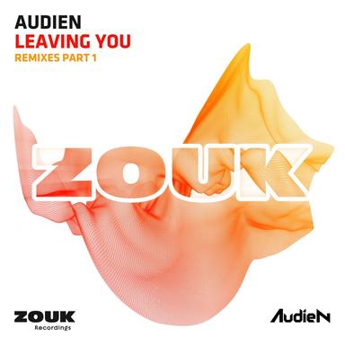 Leaving You - Thomas Newson Remix