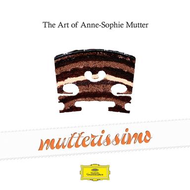 Violin Concerto in D Major, Op. 35: I. Moderato nobile