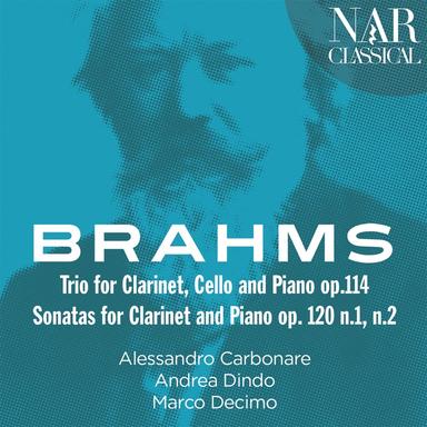Clarinet Sonata No. 2 in E-Flat Major, Op.120 No. 2: II. Allegro appassionato