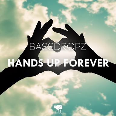 Hands Up Forever - Timster & Mike G Remix