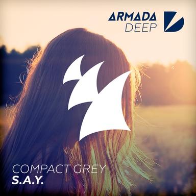 S.A.Y. (Radio Edit)