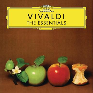 Concerto For Violin And Strings In E Minor RV 281: 1. Allegro