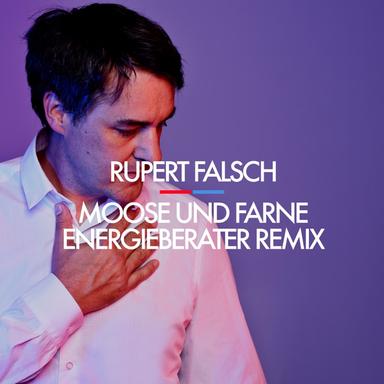 Moose und Farne - Energieberater Remix
