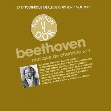 Septet in E-Flat Major, Op. 20: IV. Tema con variazioni. Andante