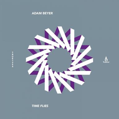Time Flies - Tiger Stripes Remix