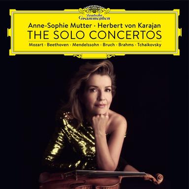 Violin Concerto in D Major, Op. 35, TH 59: I. Allegro moderato - Live