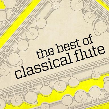 Serenade in D Major, Op. 25: III. Allegro molto