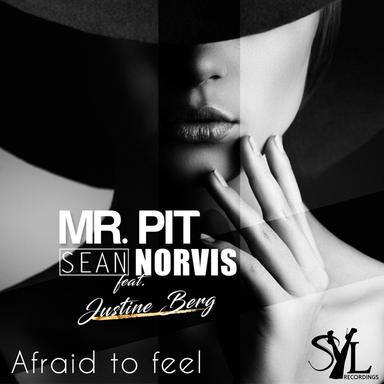 Afraid To Feel - Sean Norvis Radio Edit