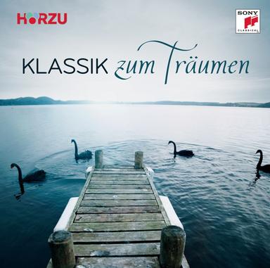 Concerto No. 1 in G Minor for Violin and Orchestra, Op. 26: II. Adagio