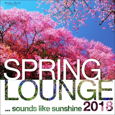 Soft Rock Cafe - Electric Hands Mix