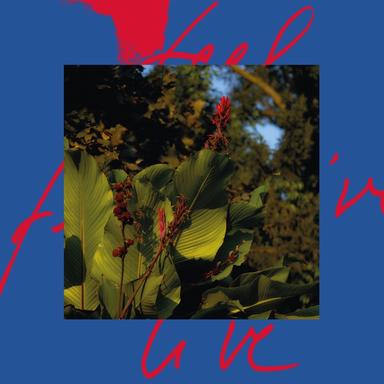 Raving At The Acropolis