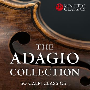 Sonata for Two Pianos in D Major, K. 448: II. Andante