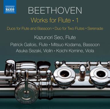 Serenade for Flute, Violin & Viola in D Major, Op. 25: VI. Adagio - Allegro vivace e disinvolto