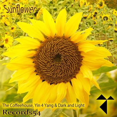 Sunflower - Radio