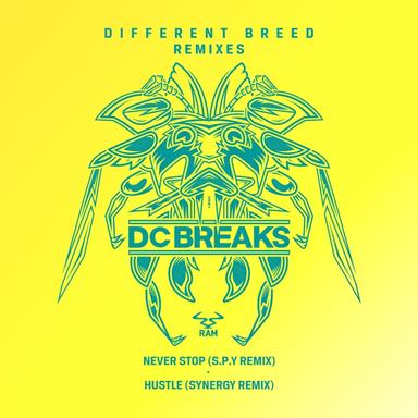 Never Stop - S.P.Y Remix