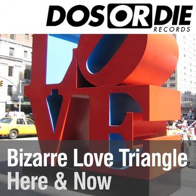 Bizarre Love Triangle - Radio Cut