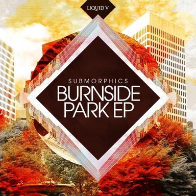 Burning Love - Lenzman Remix