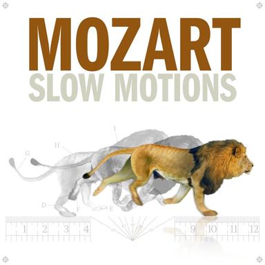 Minuet in D Major, K. 355