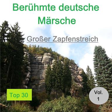 Bin ein fahrender Gesell