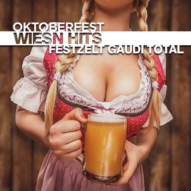 Zum Baggern zu blöd - Festzelt Party Mix